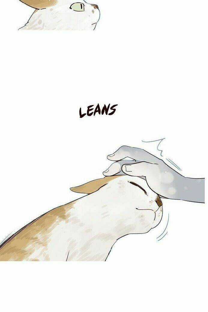 Biến Thân Thành Mèo Chapter 7 trang 12