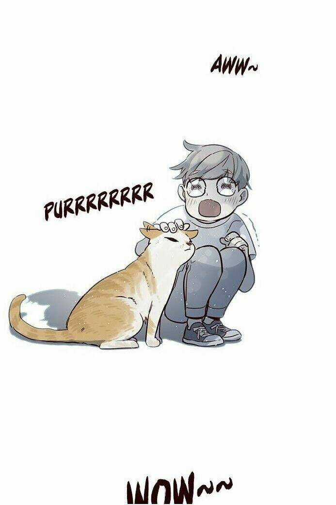 Biến Thân Thành Mèo Chapter 7 trang 13