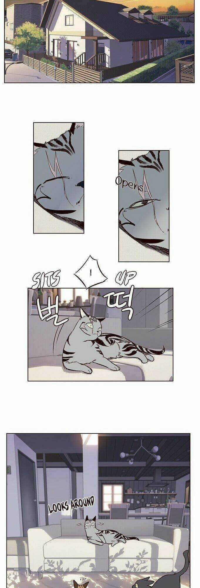 Biến Thân Thành Mèo Chapter 7 trang 35