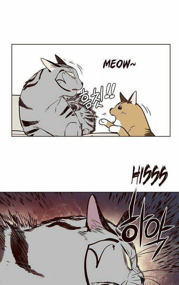 Biến Thân Thành Mèo Chapter 7 trang 37