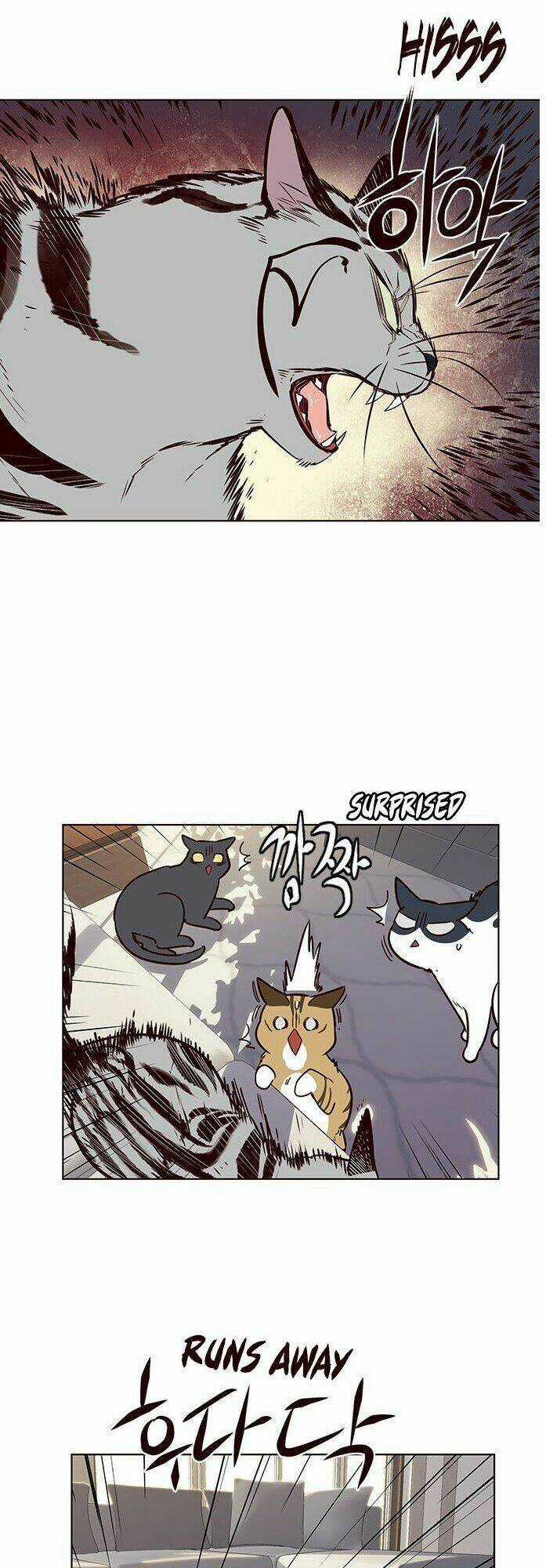 Biến Thân Thành Mèo Chapter 7 trang 38