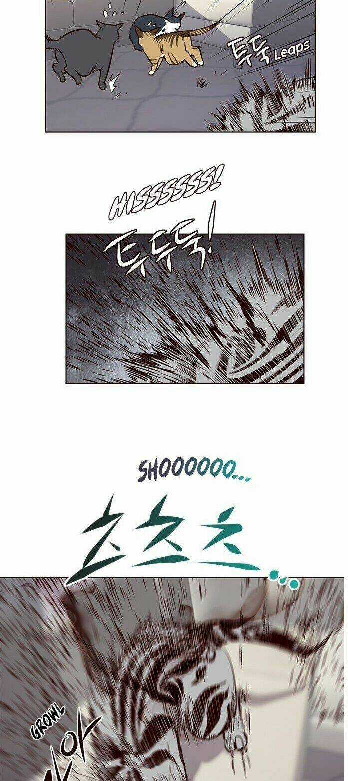 Biến Thân Thành Mèo Chapter 7 trang 39