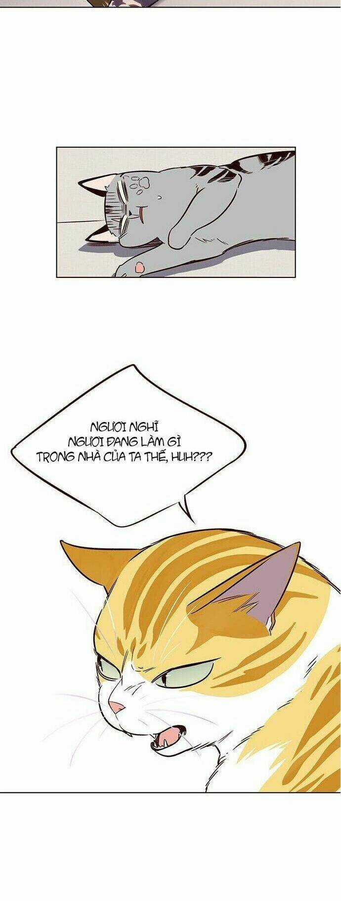 Biến Thân Thành Mèo Chapter 7 trang 44