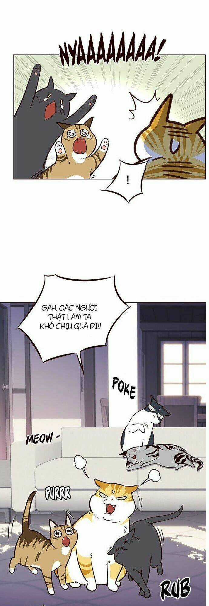 Biến Thân Thành Mèo Chapter 7 trang 45