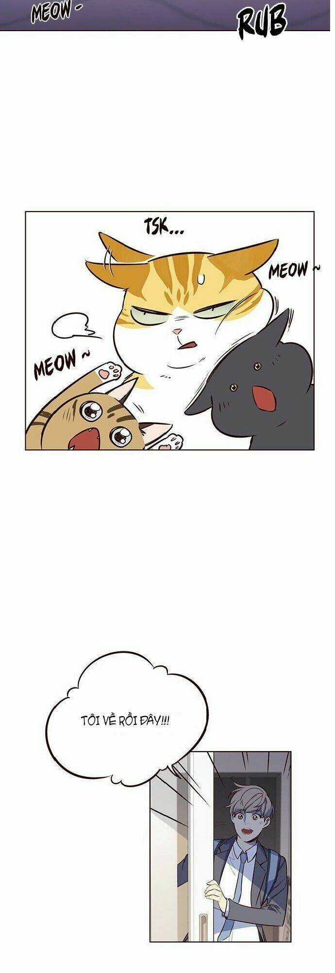 Biến Thân Thành Mèo Chapter 7 trang 46