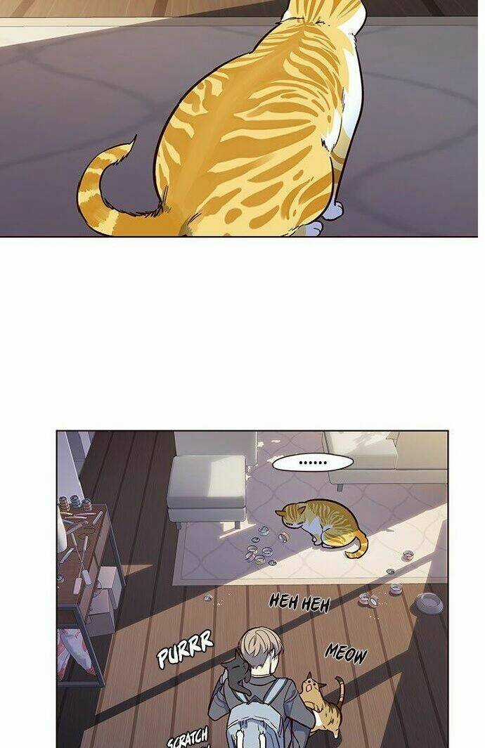 Biến Thân Thành Mèo Chapter 7 trang 48