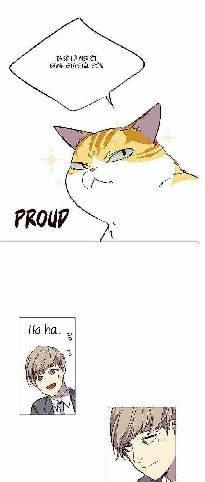 Biến Thân Thành Mèo Chapter 7 trang 56