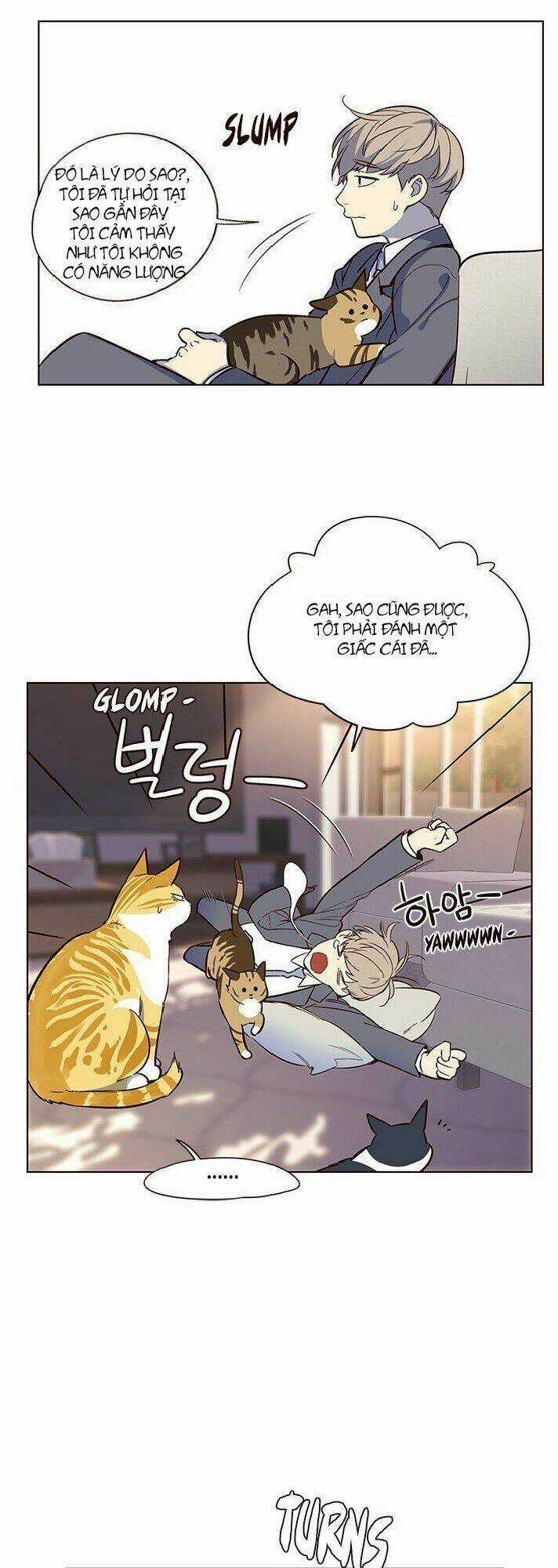 Biến Thân Thành Mèo Chapter 7 trang 62