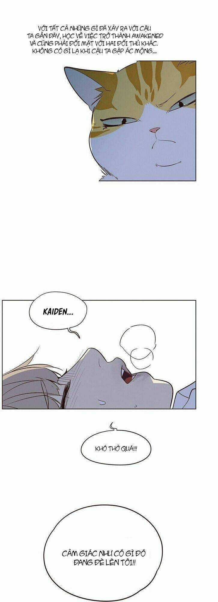 Biến Thân Thành Mèo Chapter 8 trang 22