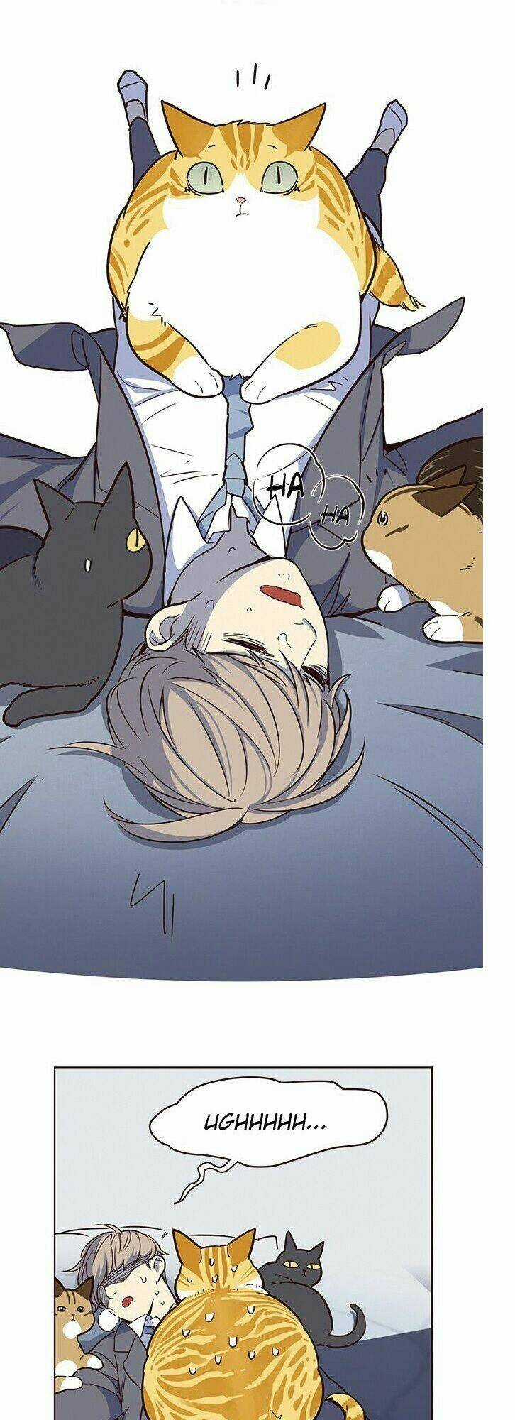 Biến Thân Thành Mèo Chapter 8 trang 23