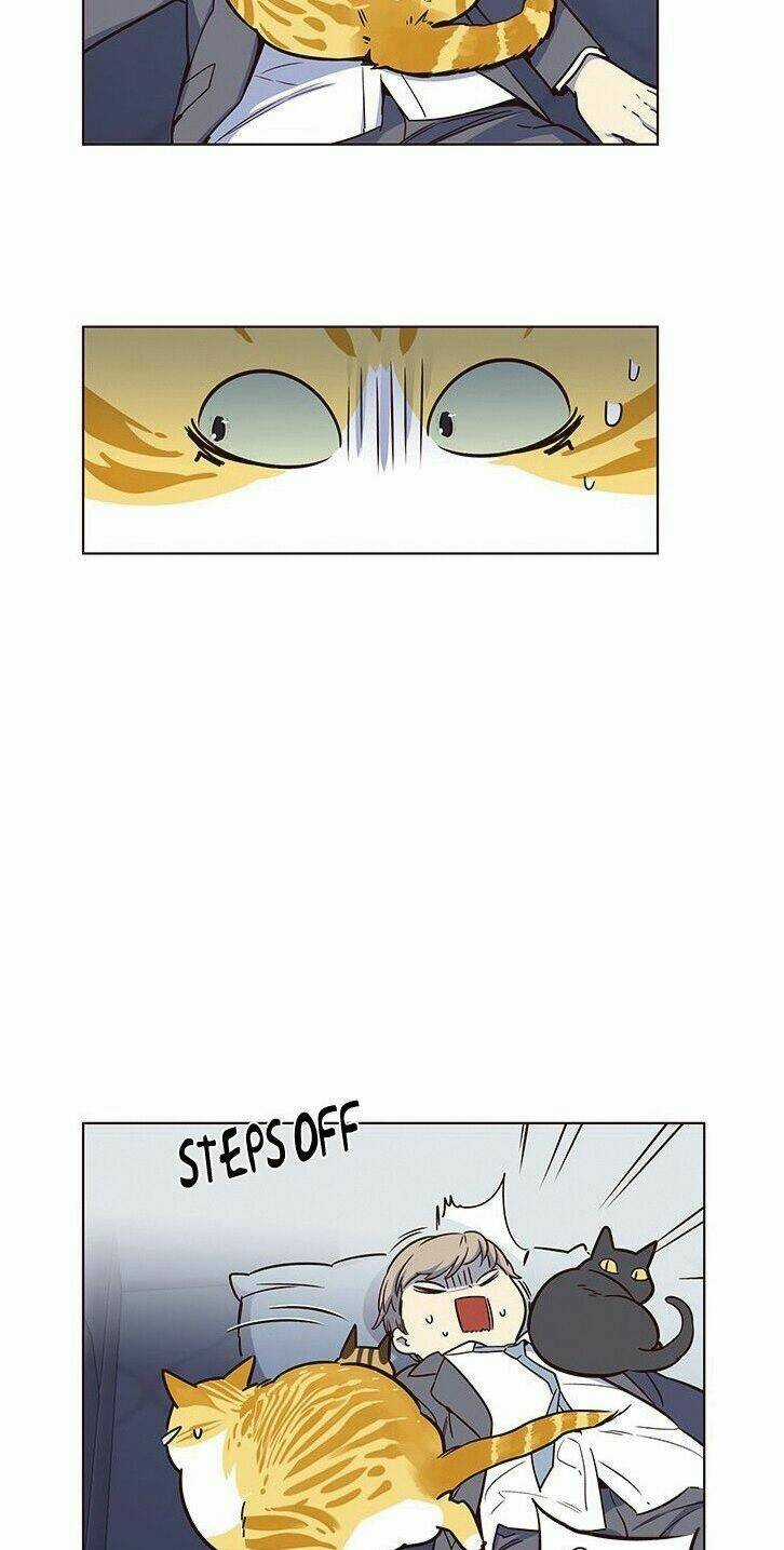 Biến Thân Thành Mèo Chapter 8 trang 24