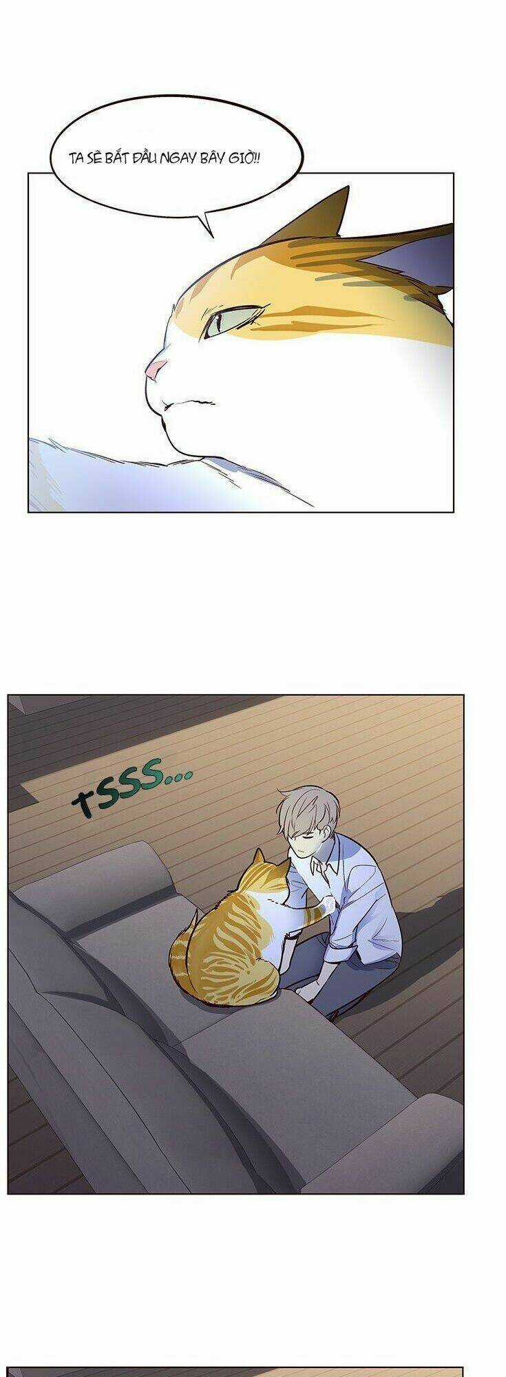 Biến Thân Thành Mèo Chapter 8 trang 46