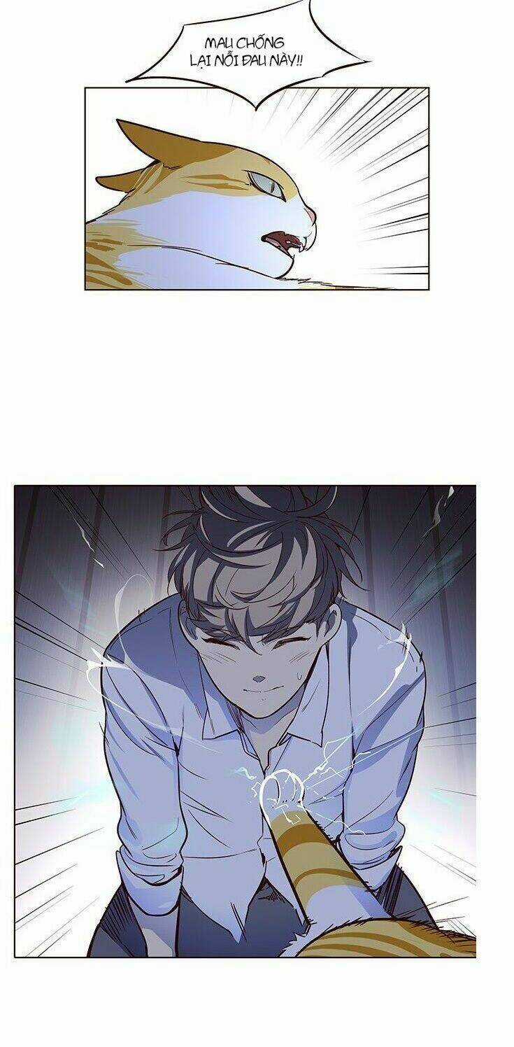 Biến Thân Thành Mèo Chapter 8 trang 48