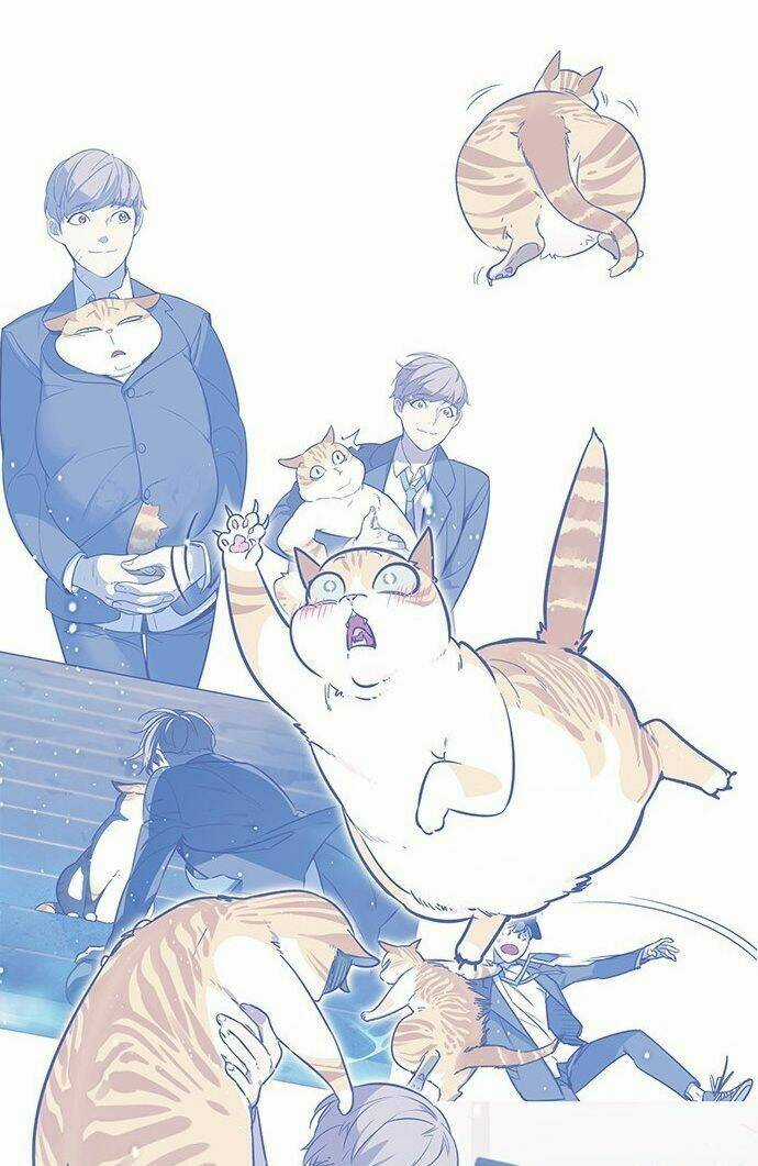 Biến Thân Thành Mèo Chapter 9 trang 16