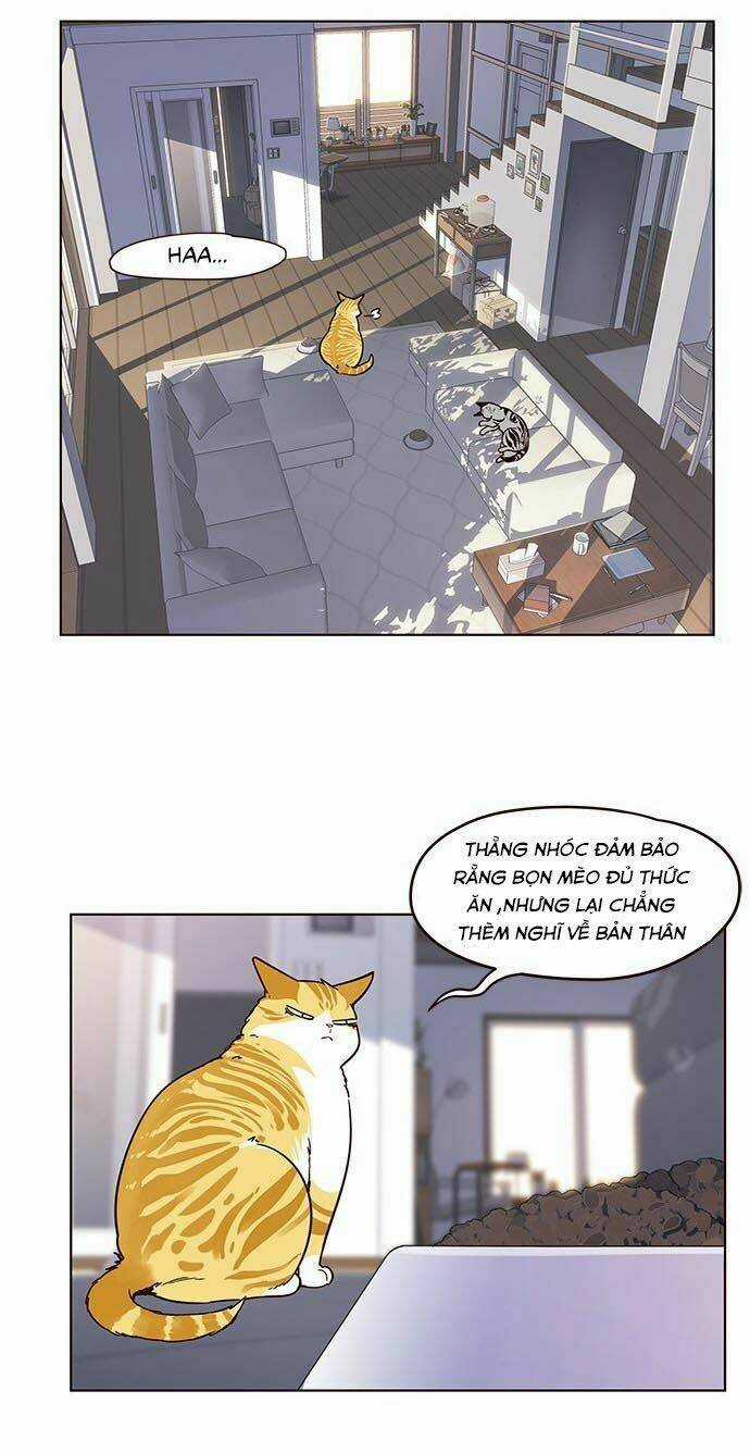 Biến Thân Thành Mèo Chapter 9 trang 25