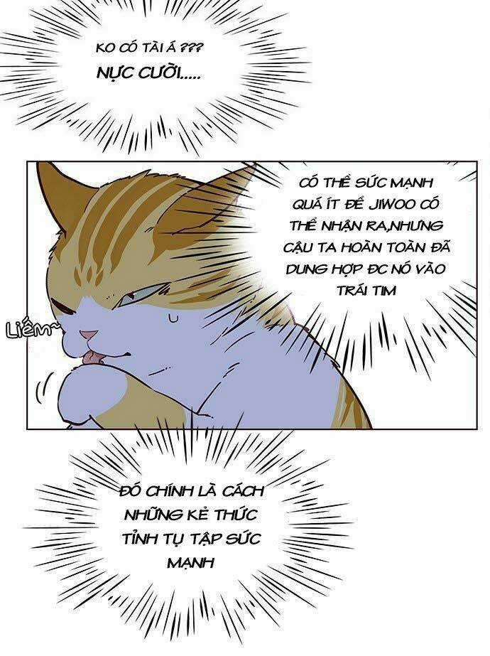 Biến Thân Thành Mèo Chapter 9 trang 26