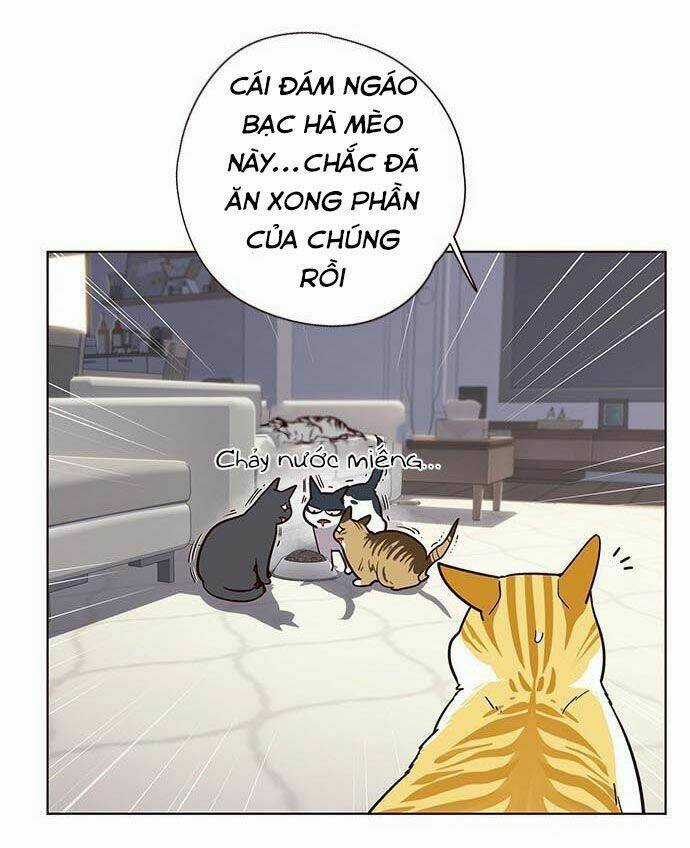 Biến Thân Thành Mèo Chapter 9 trang 33
