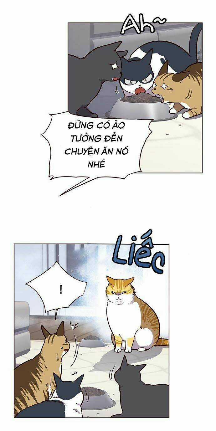 Biến Thân Thành Mèo Chapter 9 trang 34