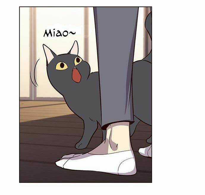 Biến Thân Thành Mèo Chapter 9 trang 73