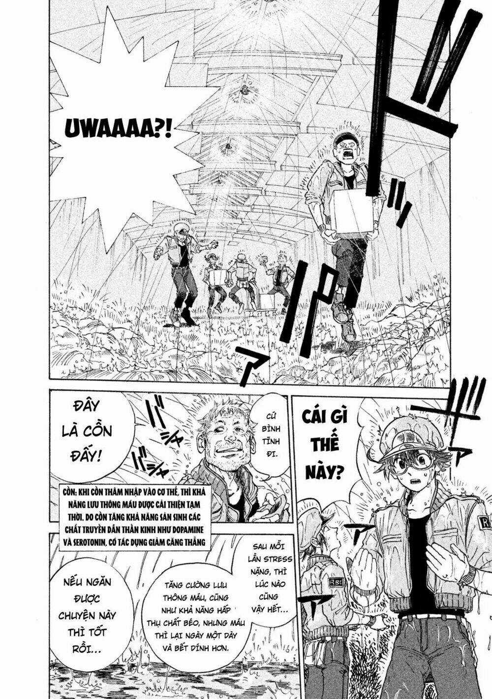 Biệt Đội Tế Bào Black - Hataraku Saibou Black Chapter 2 trang 3