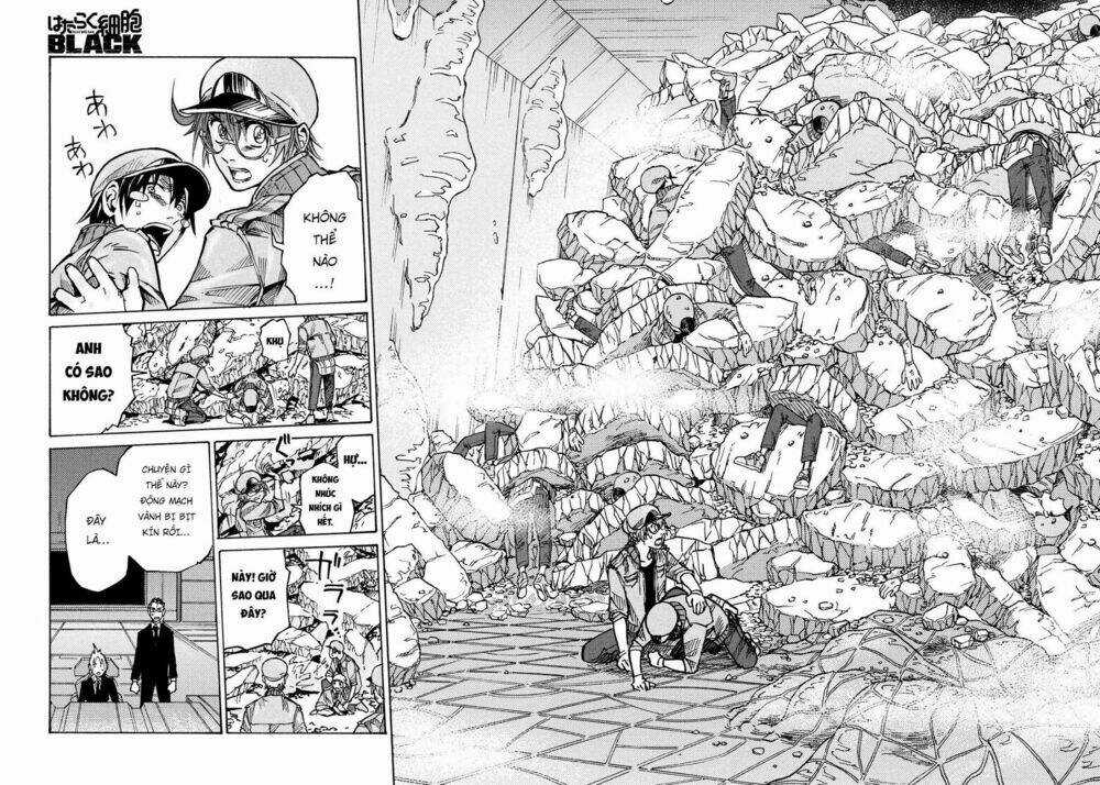 Biệt Đội Tế Bào Black - Hataraku Saibou Black Chapter 9 trang 13