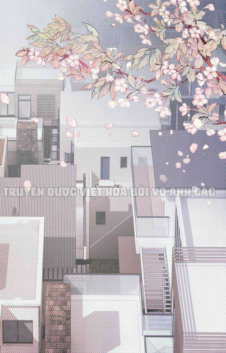 Biểu Diện Quan Hệ Nam Đoàn Chapter 3 trang 23