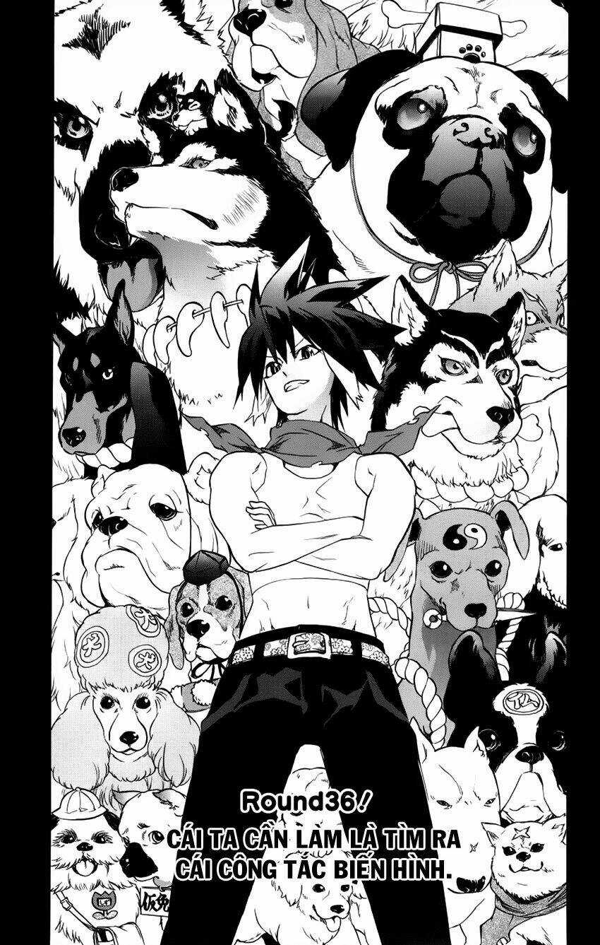 Binbougami Ga Chapter 36 trang 3