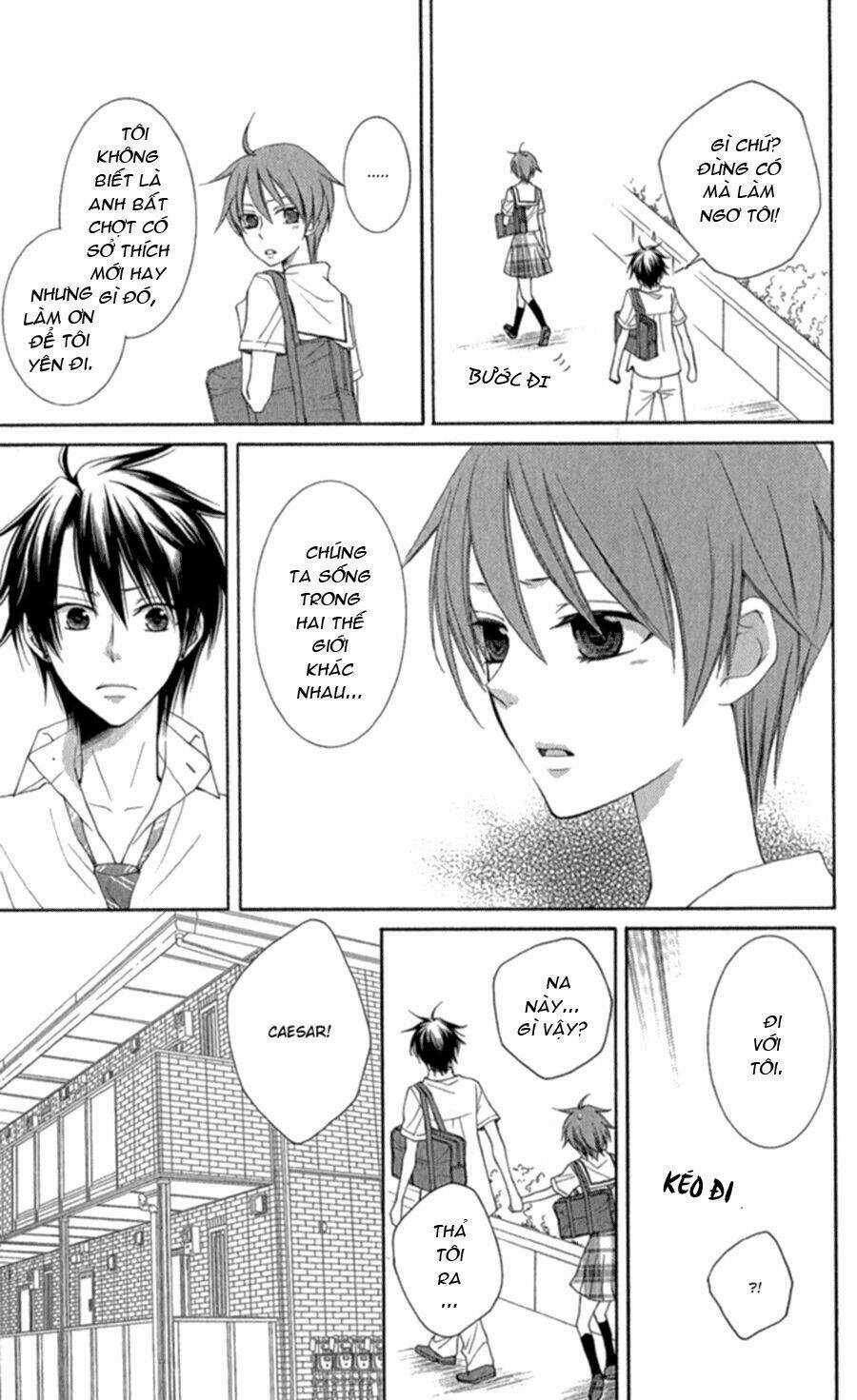 Bình Minh Arcana Chapter 40.5 trang 8