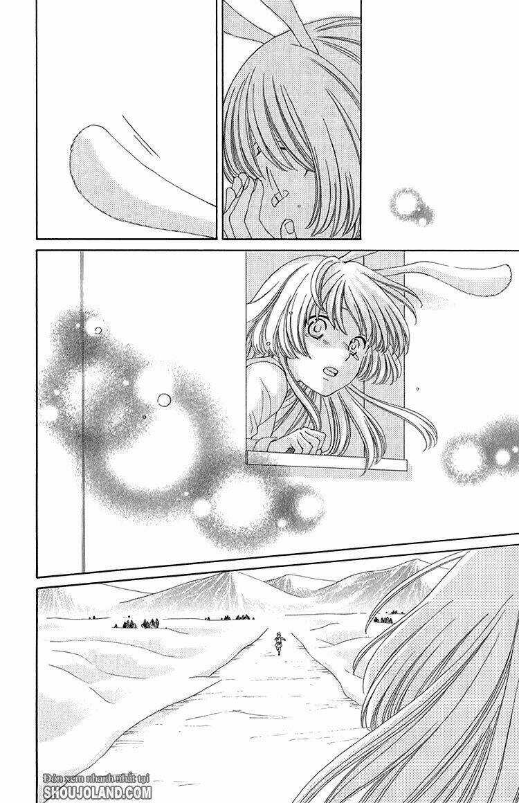 Bình Minh Arcana Chapter 42 trang 16