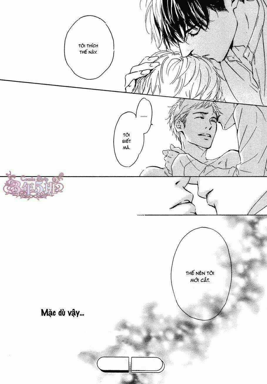 Bình Minh U Sầu Chapter 33 trang 53