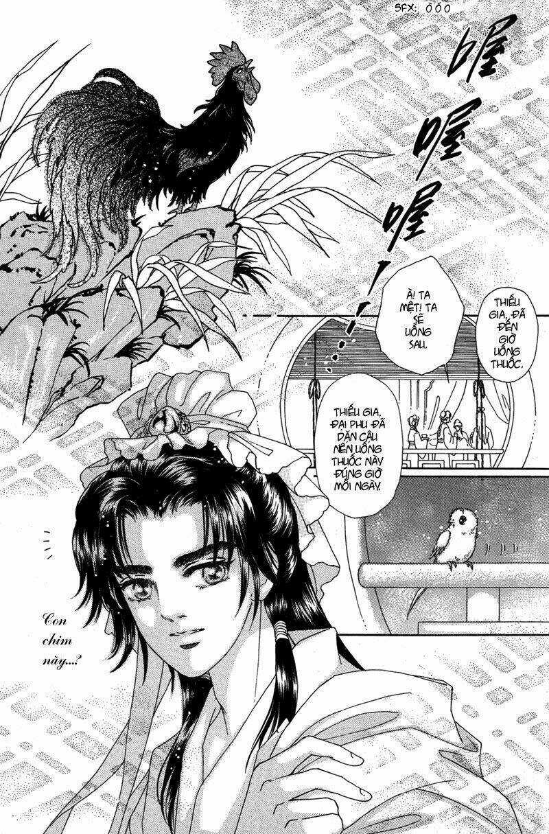 Bird Of Youth Chapter 1 trang 2