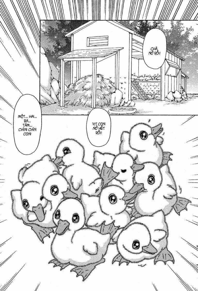 Bird Of Youth Chapter 5 trang 15