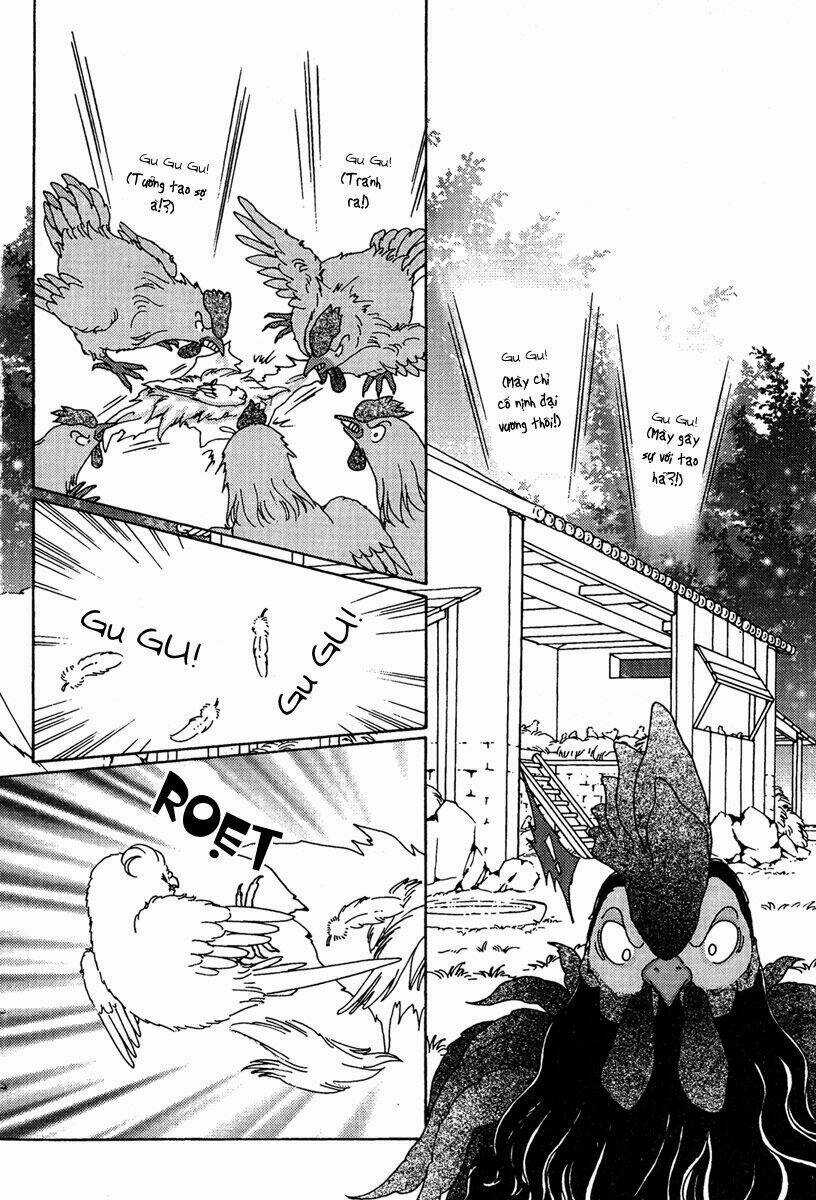 Bird Of Youth Chapter 6 trang 10