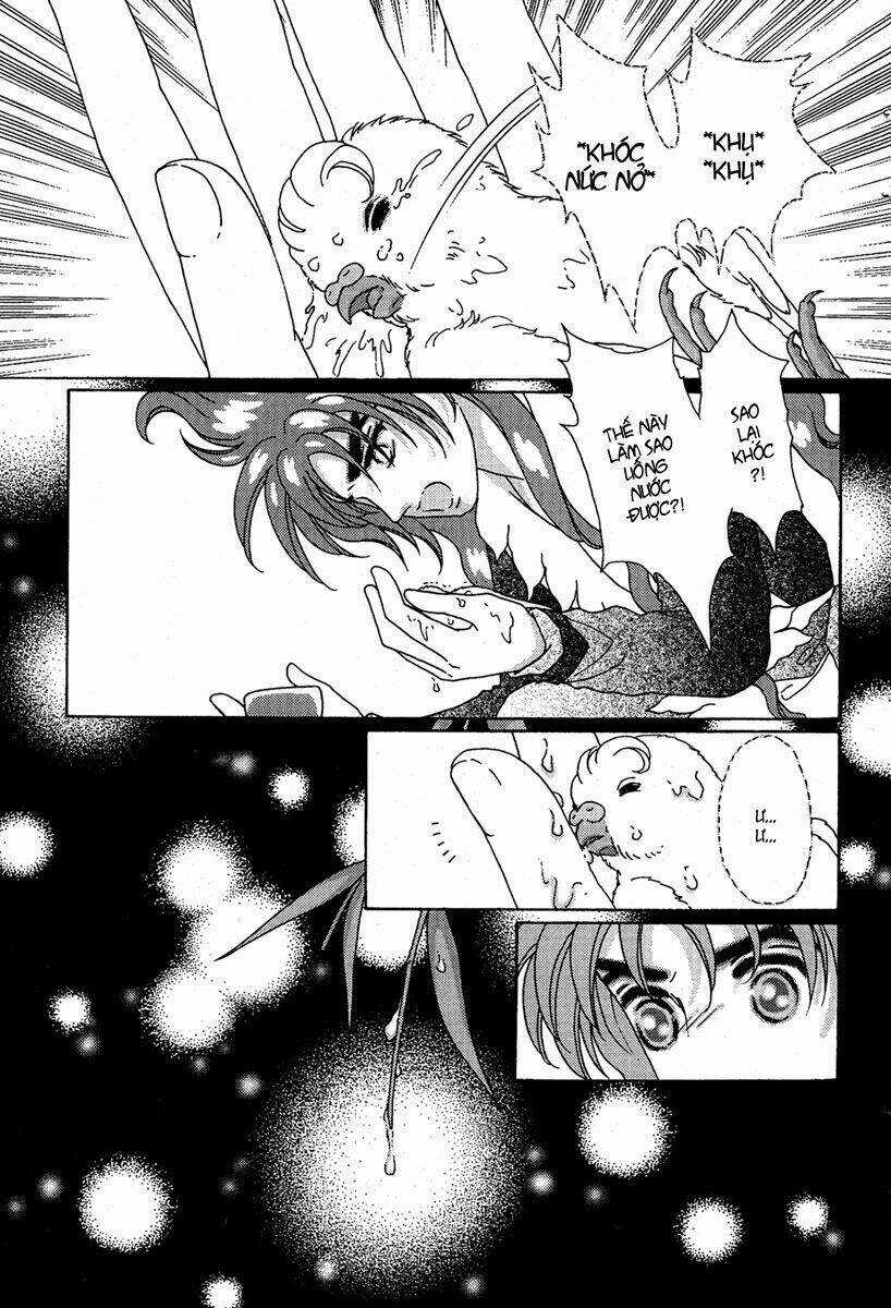 Bird Of Youth Chapter 6 trang 13