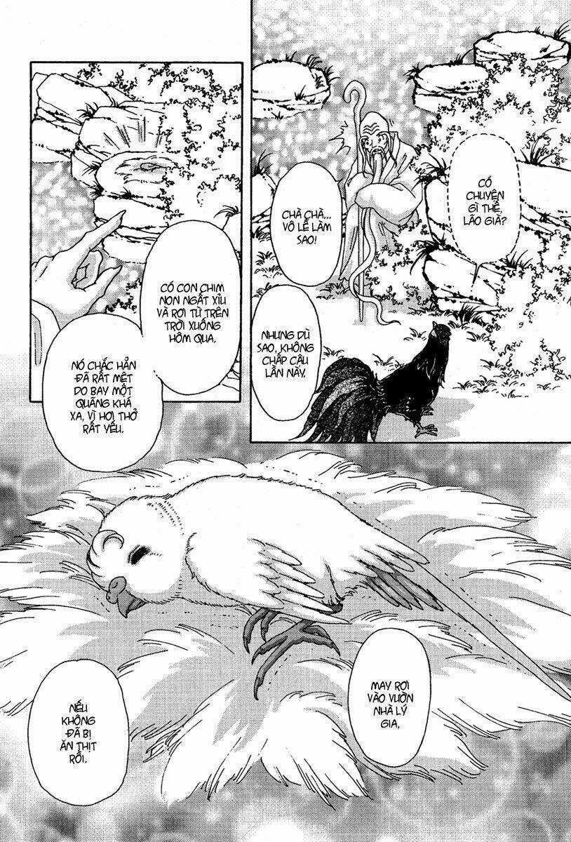 Bird Of Youth Chapter 6 trang 2