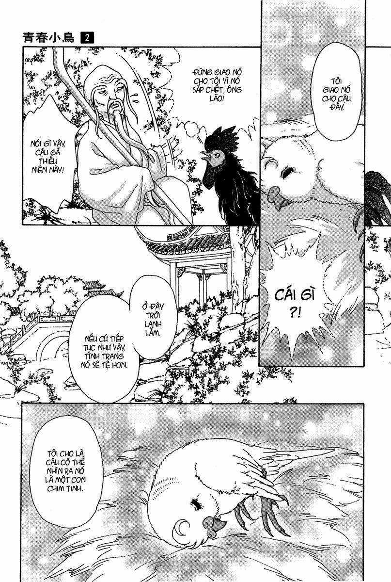 Bird Of Youth Chapter 6 trang 3