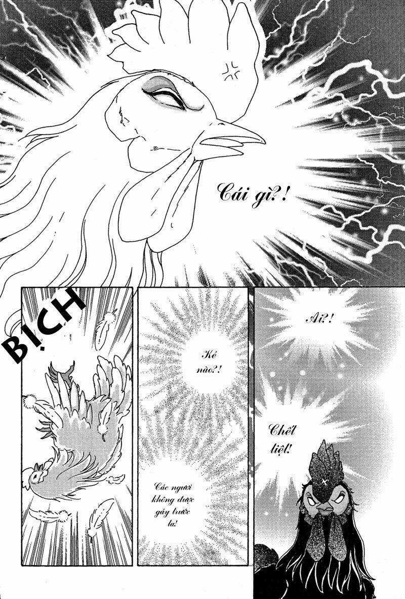 Bird Of Youth Chapter 7 trang 2