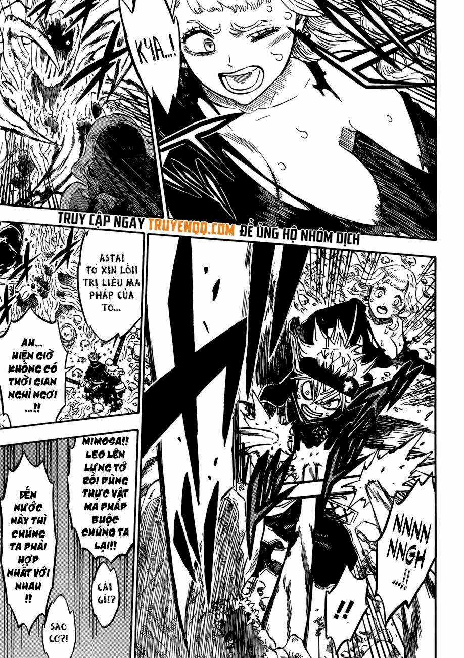 Black Clover - Pháp Sư Không Phép Thuật Chapter 193 trang 6