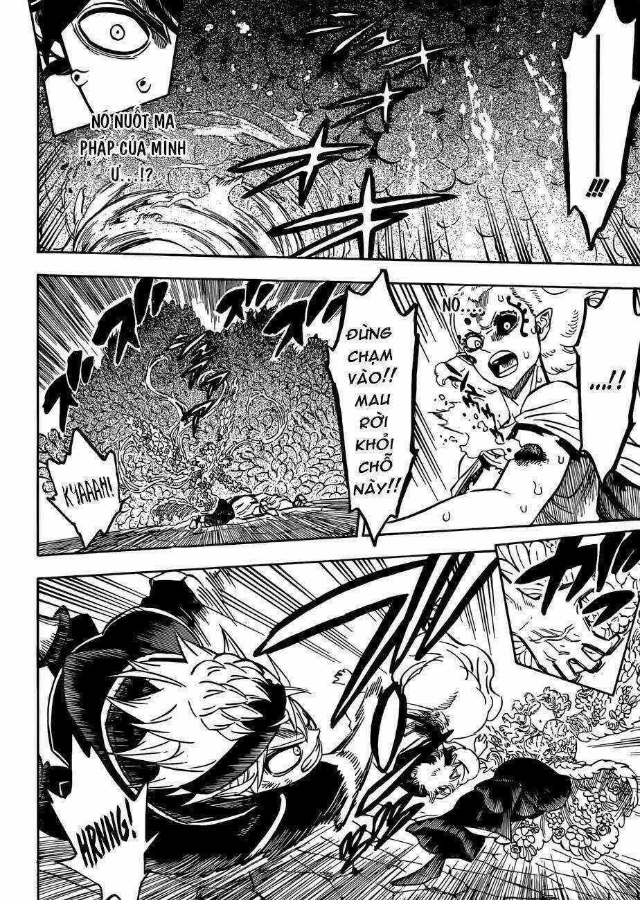 Black Clover - Pháp Sư Không Phép Thuật Chapter 203 trang 6