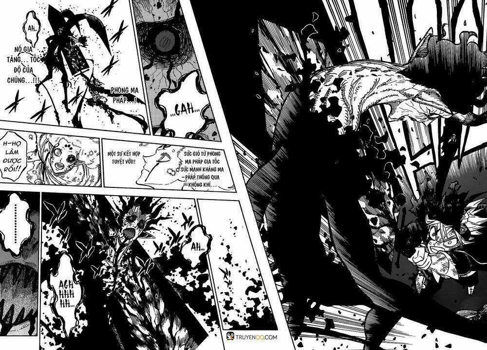Black Clover - Pháp Sư Không Phép Thuật Chapter 209 trang 5