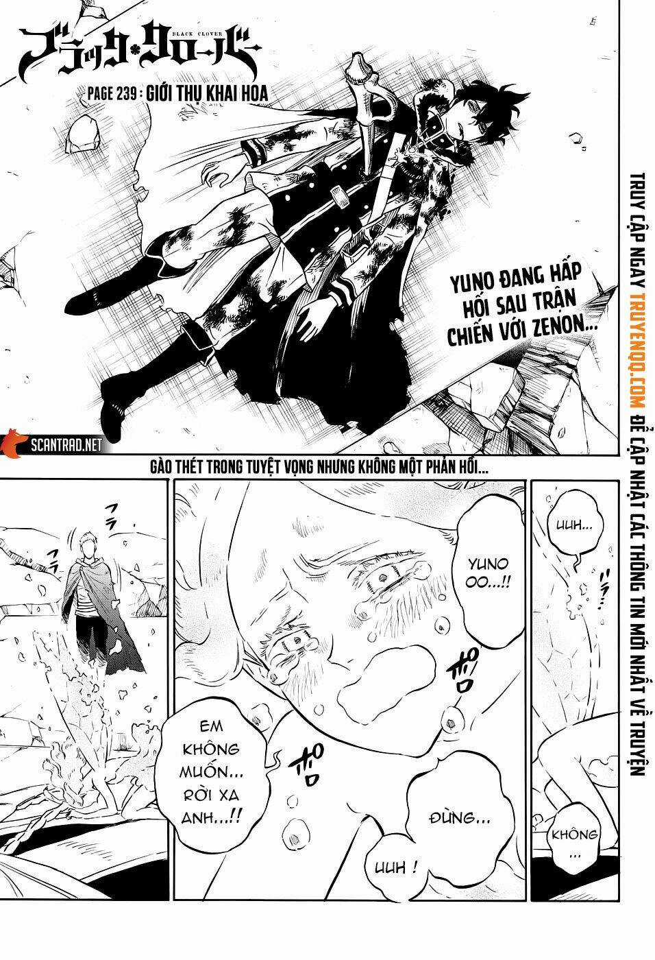 Black Clover - Pháp Sư Không Phép Thuật Chapter 239 trang 1
