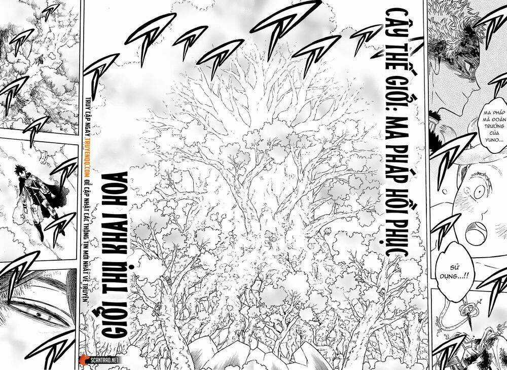 Black Clover - Pháp Sư Không Phép Thuật Chapter 239 trang 4