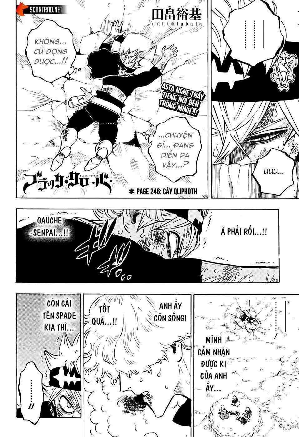 Black Clover - Pháp Sư Không Phép Thuật Chapter 246 trang 2