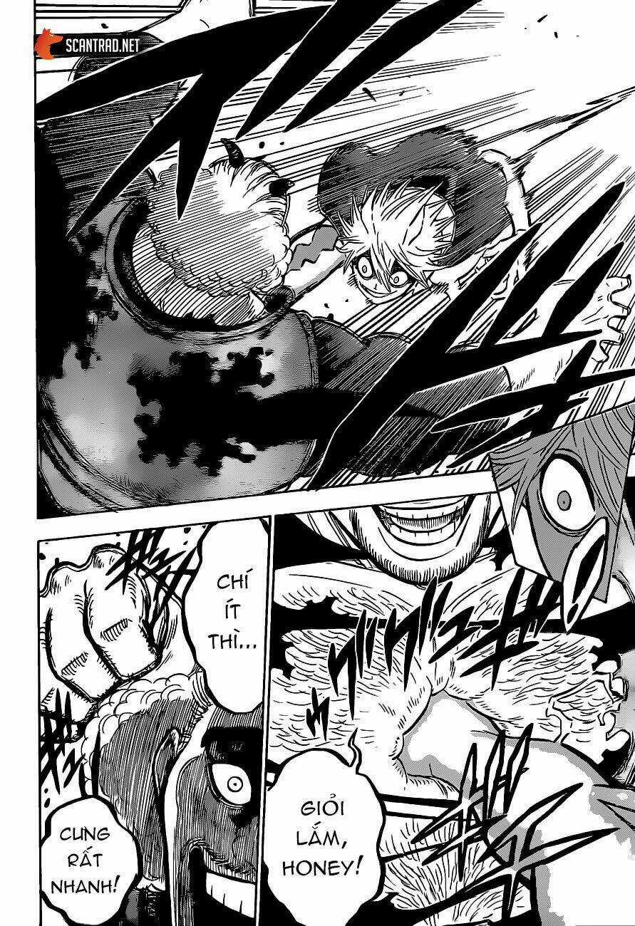 Black Clover - Pháp Sư Không Phép Thuật Chapter 247 trang 7