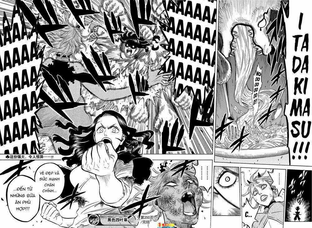 Black Clover - Pháp Sư Không Phép Thuật Chapter 250 trang 13