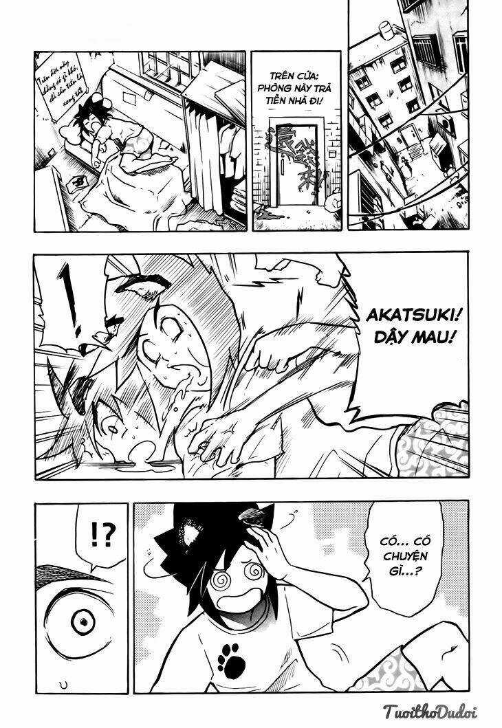 Black Dog Chapter 2 trang 3