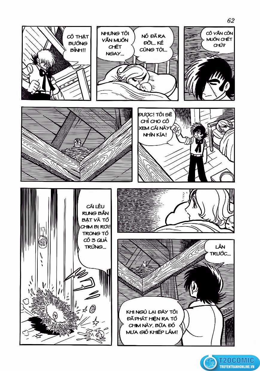Black Jack Chapter 173 trang 14