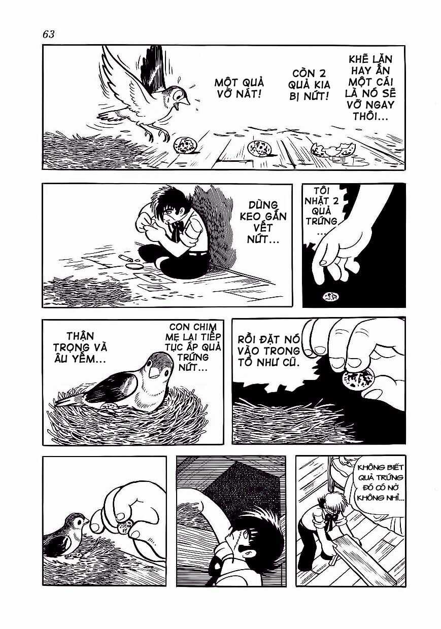 Black Jack Chapter 173 trang 15