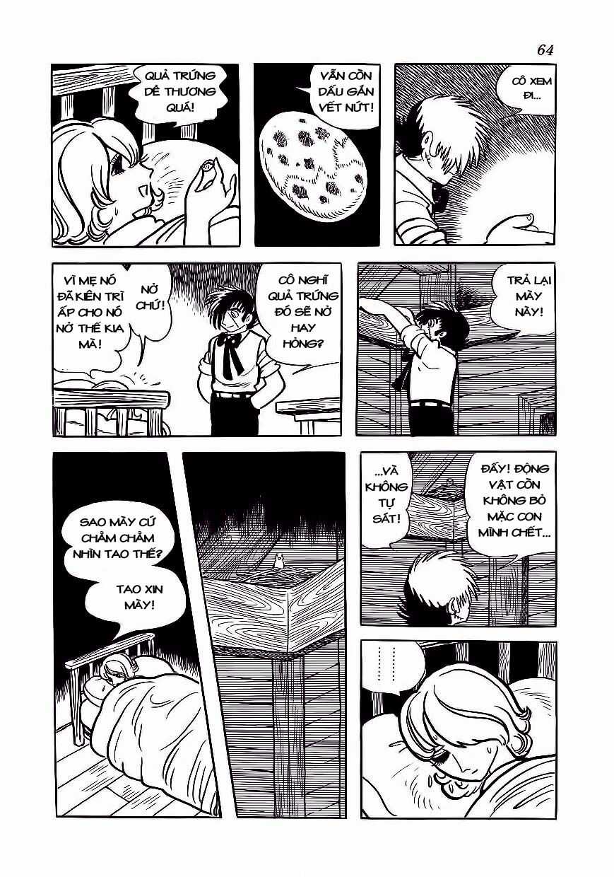 Black Jack Chapter 173 trang 16