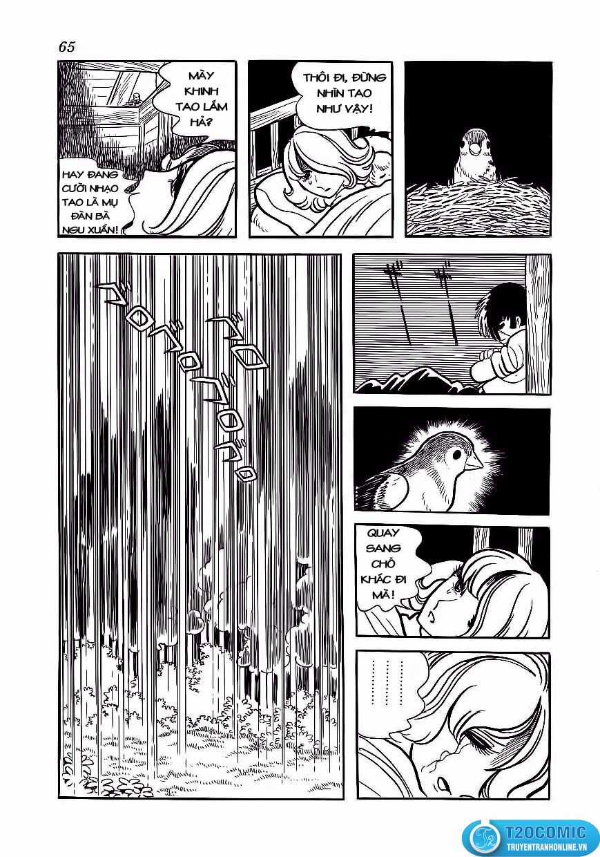 Black Jack Chapter 173 trang 17